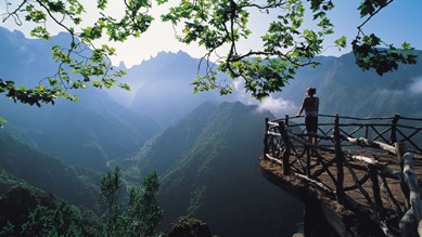 Best-Wonderful-Picture3