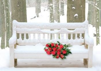 11225338_1682894238619894_1916796375455572364_n