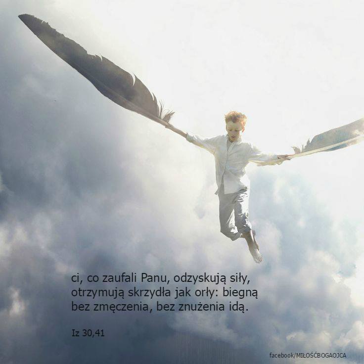 12308315_968732876526399_3643230233029821274_n