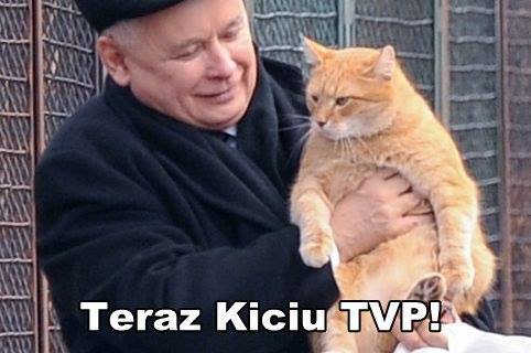 12321567_1644514422463979_9041845492665395680_n