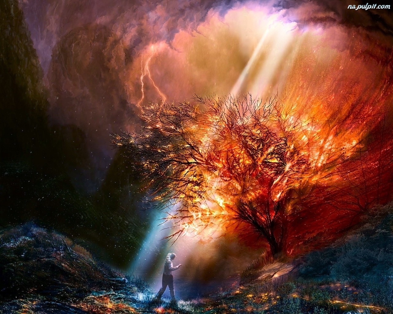 mezczyzna-burza-plonace-drzewo