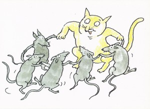 idiotki tańczą z kotem