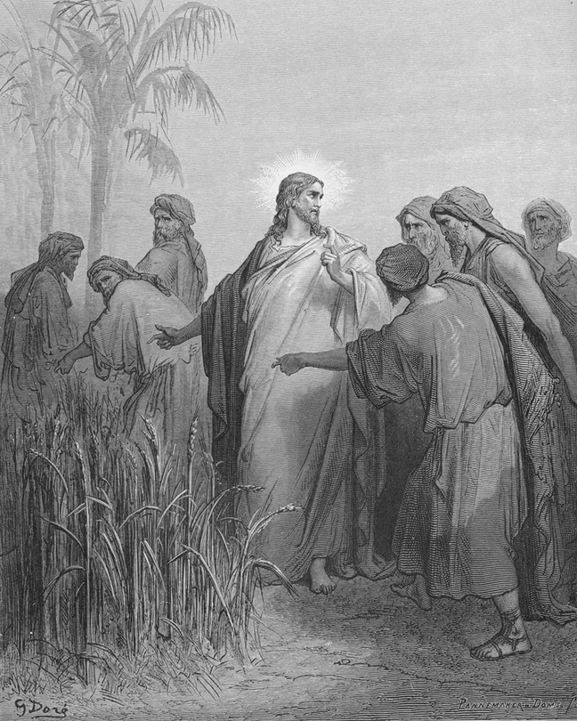 Jezus wśród zbóż