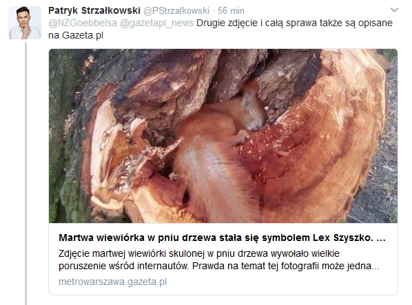 manipulacja drzewo_w
