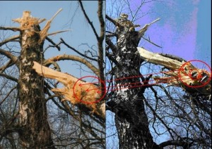 39042-403971362243833