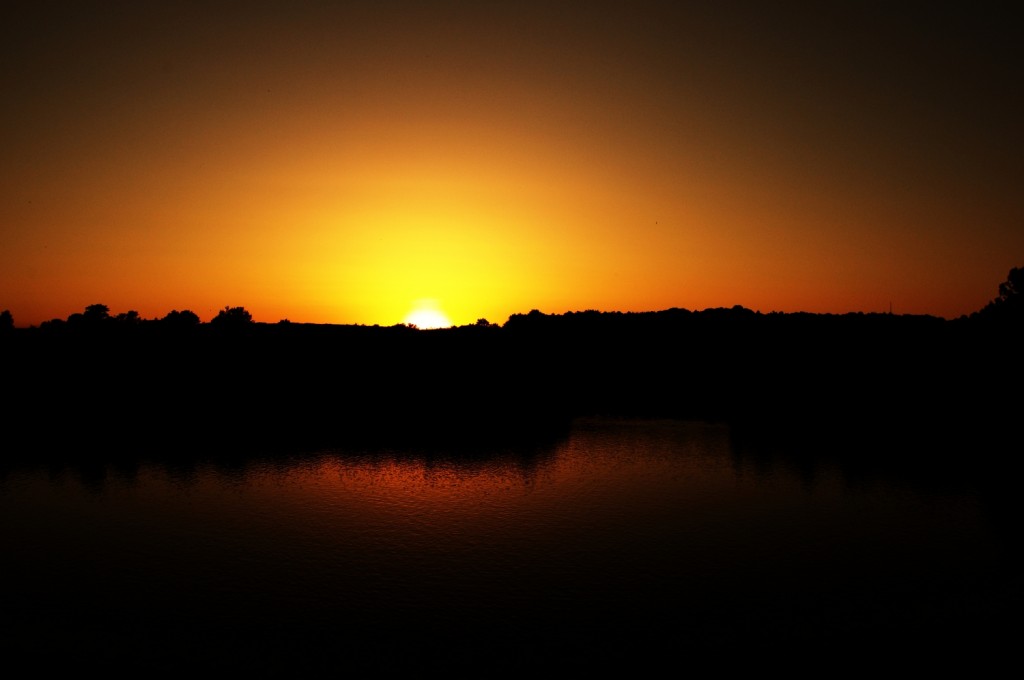 DSC_6988_100DSC_6988xdexsmall