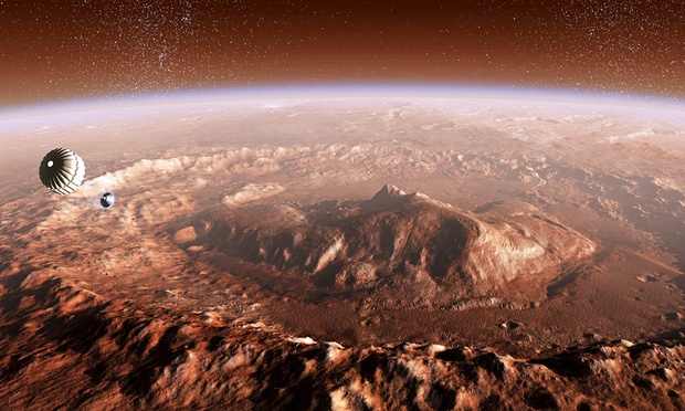 Foto_Stocktrek Images_ Inc. ALAMY