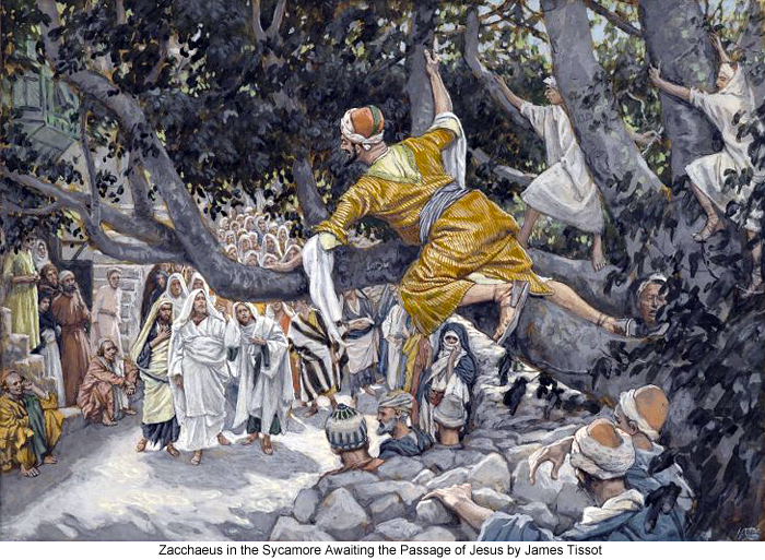 James_Tissot_Zacchaeus_in_the_Sycamore_Awaiting_the_Passage_of_Jesus_700