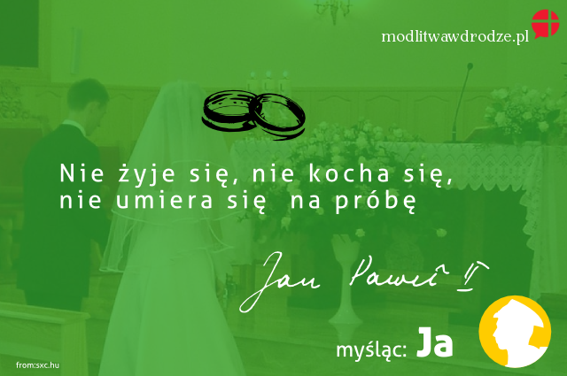 Nie kocha się na próbę