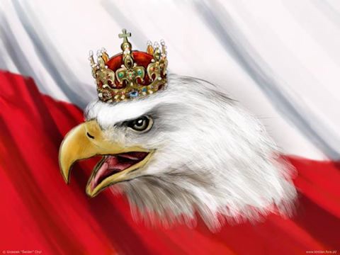 Orze_w_koronie_zs_big