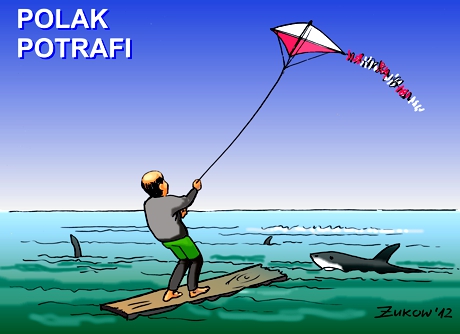 Umiarkowana prawica z prądem