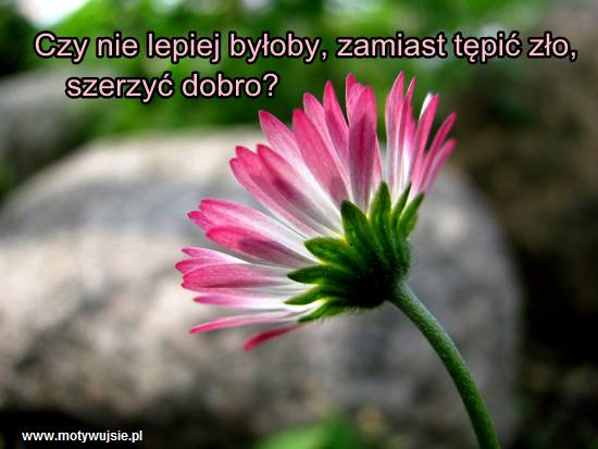 dobro