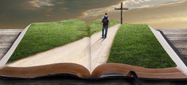 jedyna-droga1-775x352