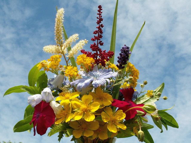 kwiaty-polne-dla-aniolow