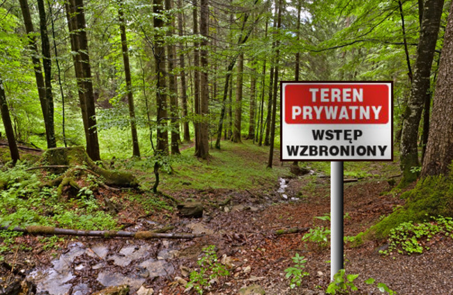 lasy-państwowe