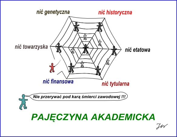 pajęczyna