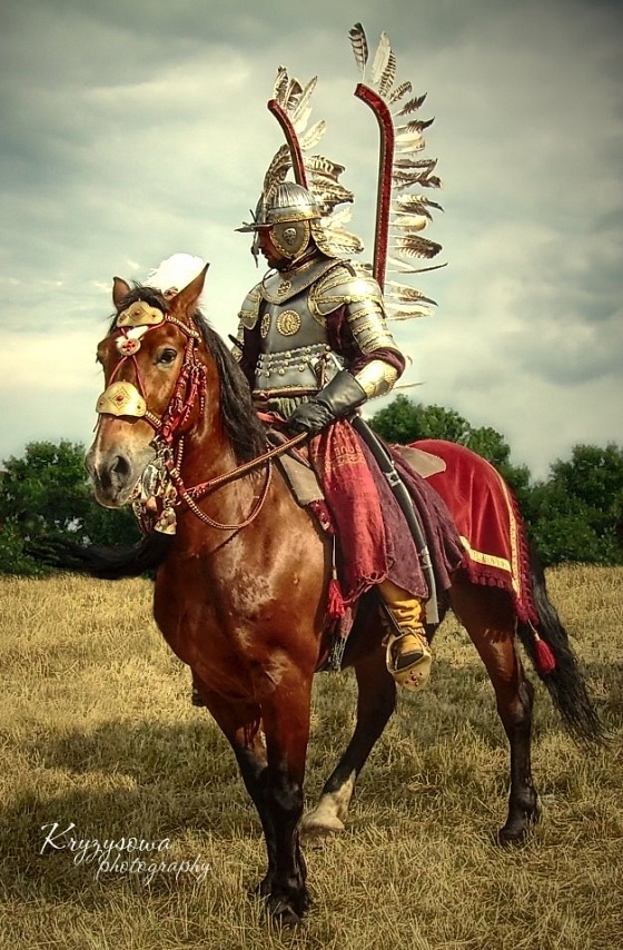 polski-husarz-d