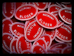 wzorowy bloger