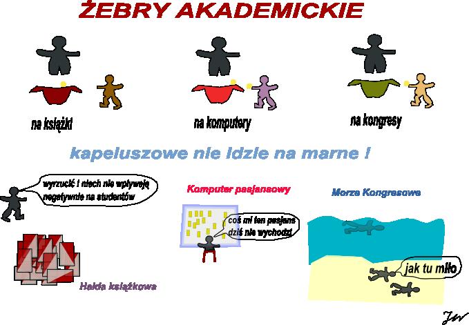 zebry akademickie