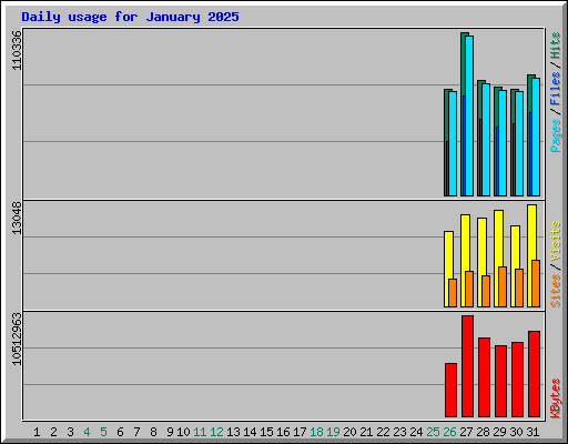 Daily usage for January 2025