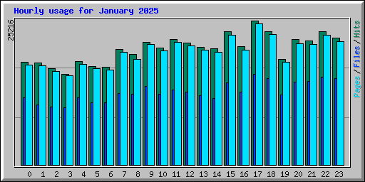 Hourly usage for January 2025