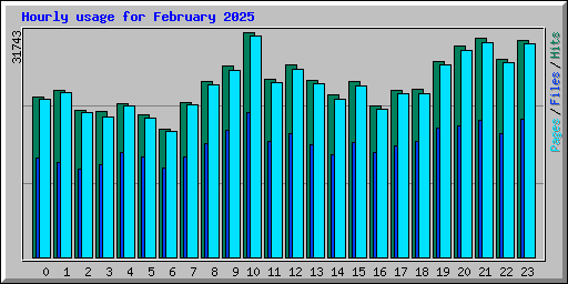 Hourly usage for February 2025