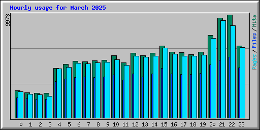 Hourly usage for March 2025