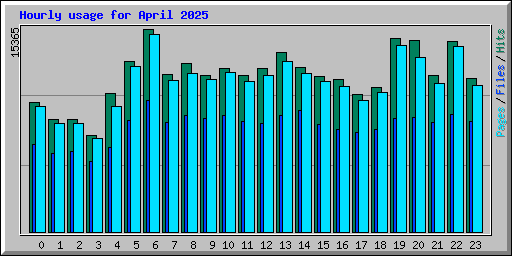 Hourly usage for April 2025