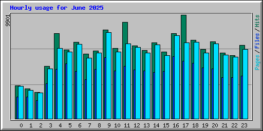 Hourly usage for June 2025