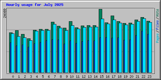 Hourly usage for July 2025