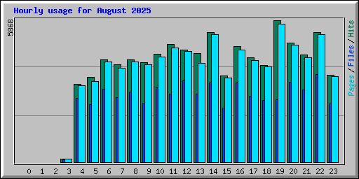 Hourly usage for August 2025