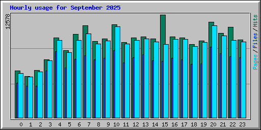 Hourly usage for September 2025