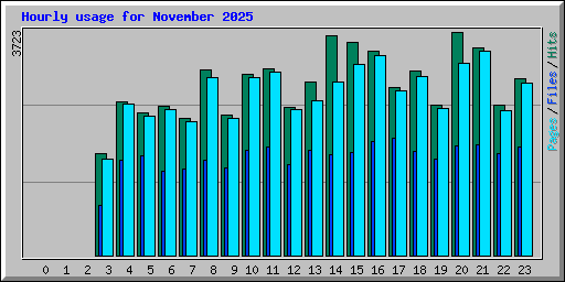 Hourly usage for November 2025
