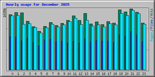 Hourly usage for December 2025