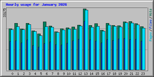 Hourly usage for January 2026