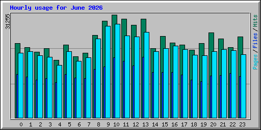 Hourly usage for June 2026