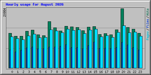 Hourly usage for August 2026